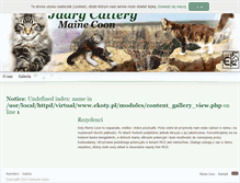 Tablet Screenshot of mainecoon.ekoty.pl